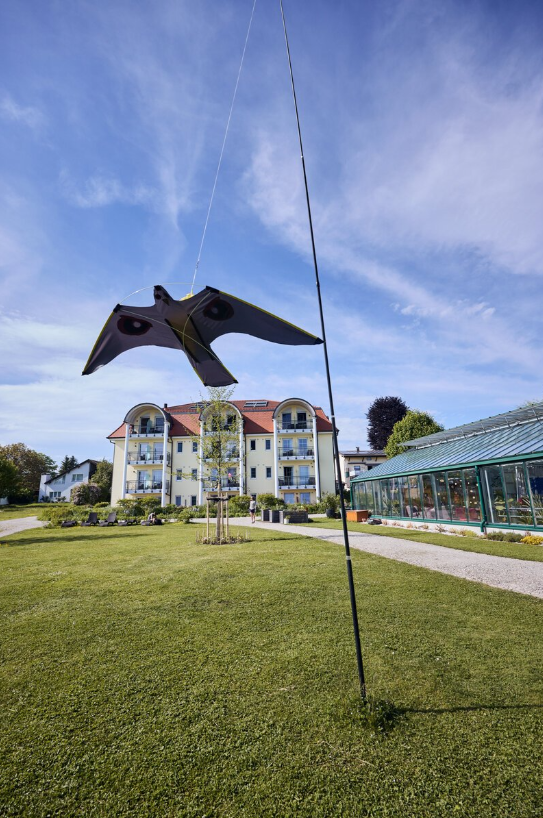 Bildschirmfoto 2025-07-25 um 13.12.09 https://oberarzt-chiemsee.de/wp-content/uploads/2025/07/Bildschirmfoto-2025-07-25-um-13.12.09.png